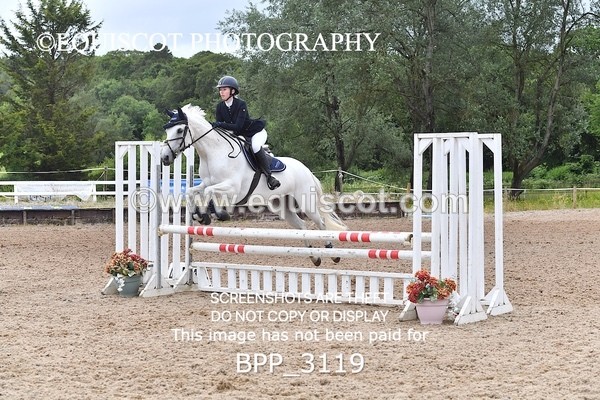 BPP_3119 - CLASS 13 SUN Senior BritiNovice/ 90cm Open