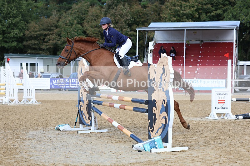 3E7A9081 - Class 9: Senior British Novice/90cm open