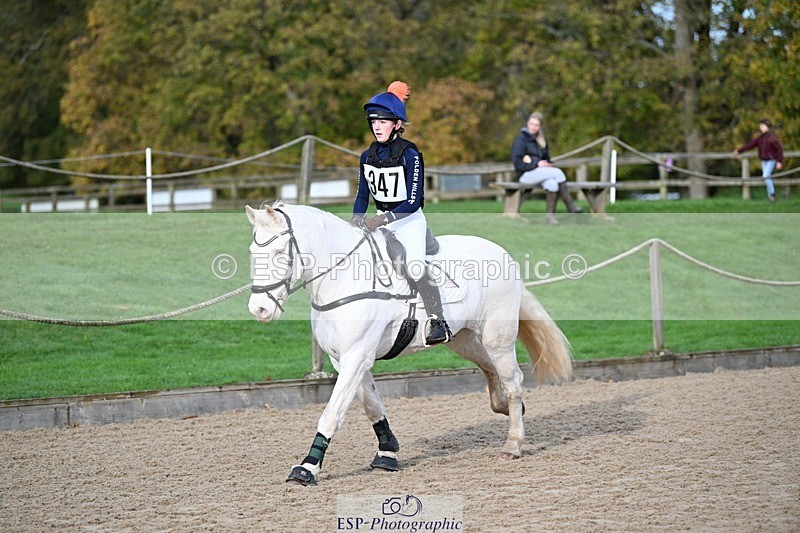 241117-102813-03132 - Cls 2 80-85cm 10.20 to 11.20