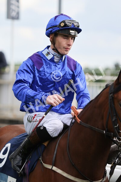 yr11052022r7-2 - Race 7 5.15pm British Stallion Studs EBF Novice Stakes