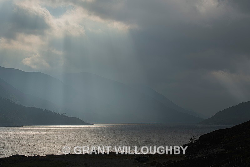 Crepuscular Delight - Latest work