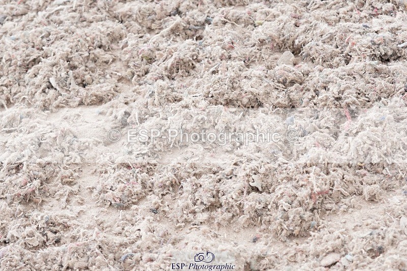 250505-110210-04195 - Cls 15 10 Years and Under