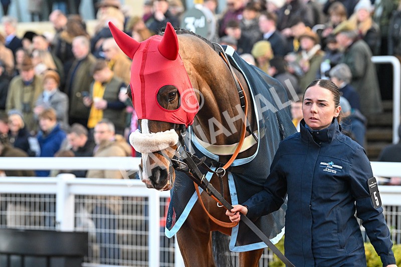 250125-Race 1-Jagwar-3877 - Race 1