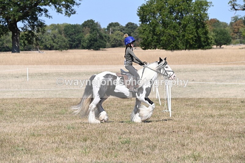 WJ6_8795 - Class 38 Ridden Riding Horse/Pony