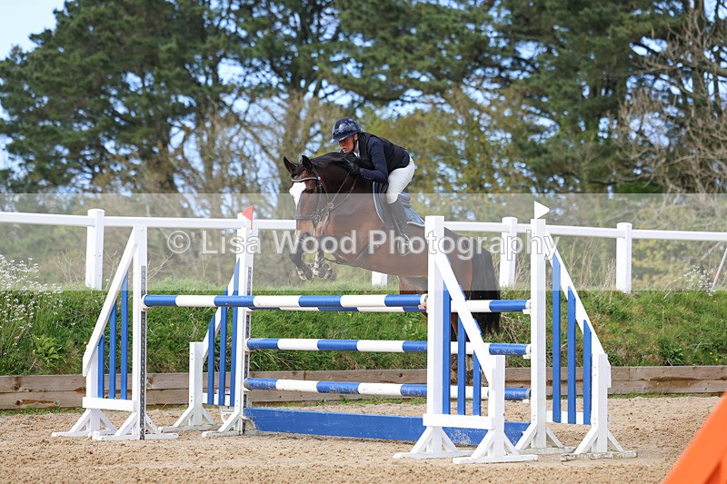 3E7A2168 - Class 8: Senior Foxhunter/1.20 open