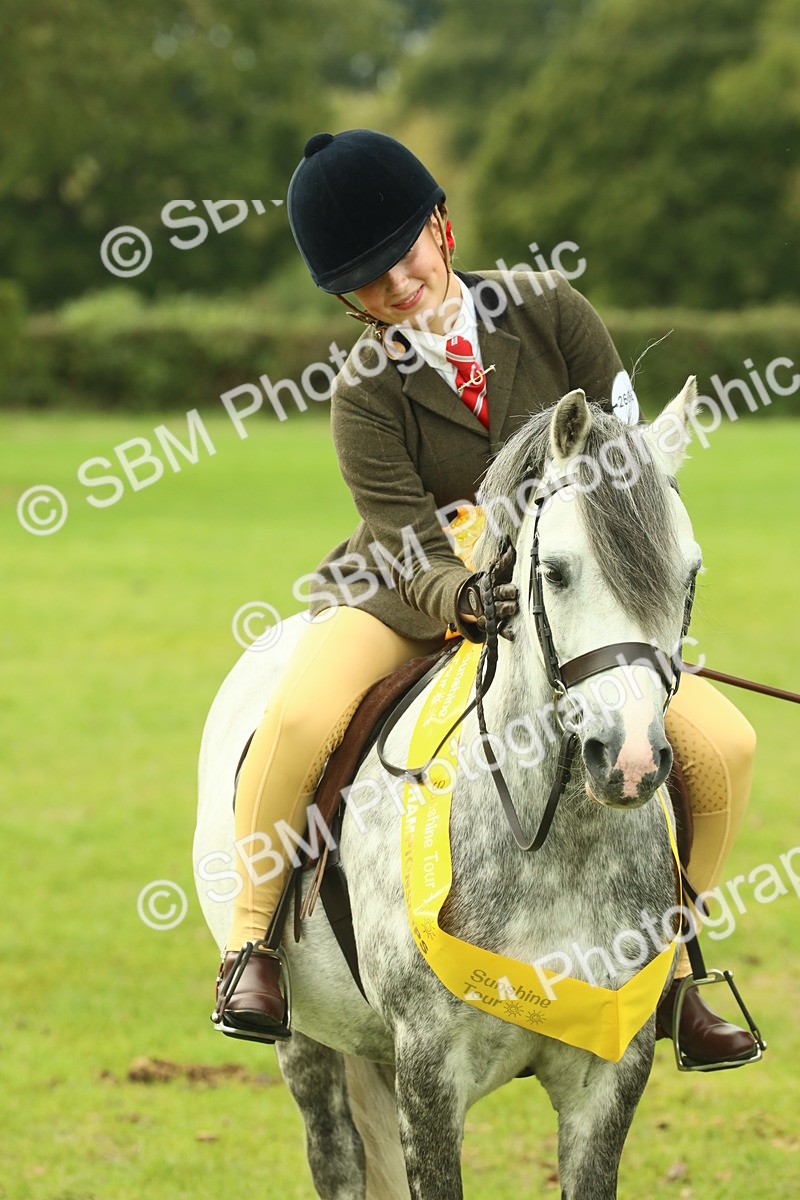 SBM_70036 - S59 - Mountain & Moorland Ridden Small Breeds