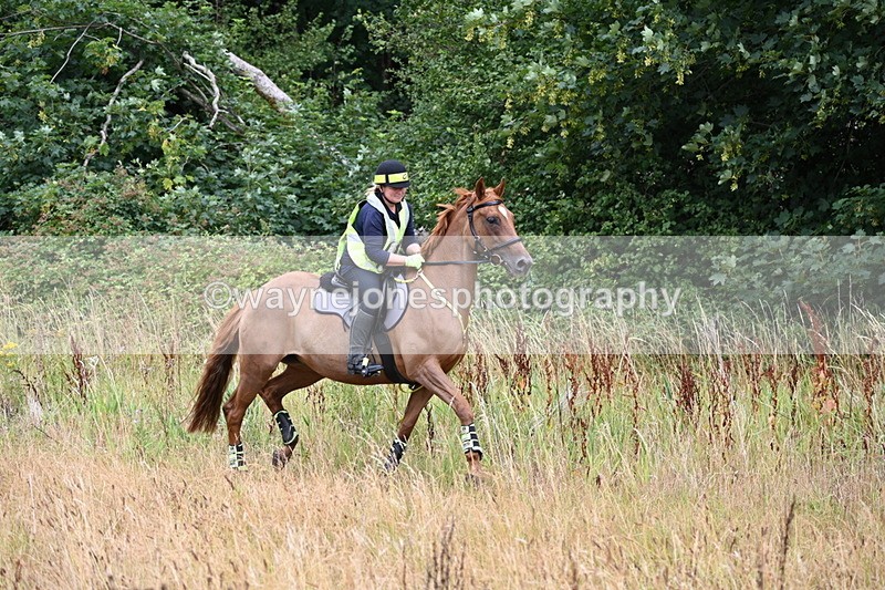 WJ6_2389 - Group 7
