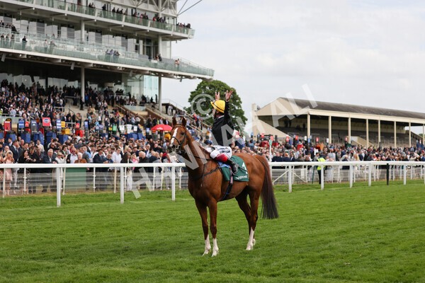 yr13052022r4-75 - Race 4 3.35pm The Paddy Power Yorkshire Cup (British Champions Series Race)
