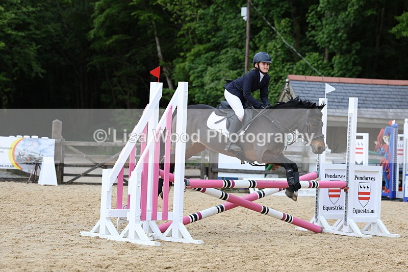 3E7A8432 - Class 12: Pony British Novice/80cm open