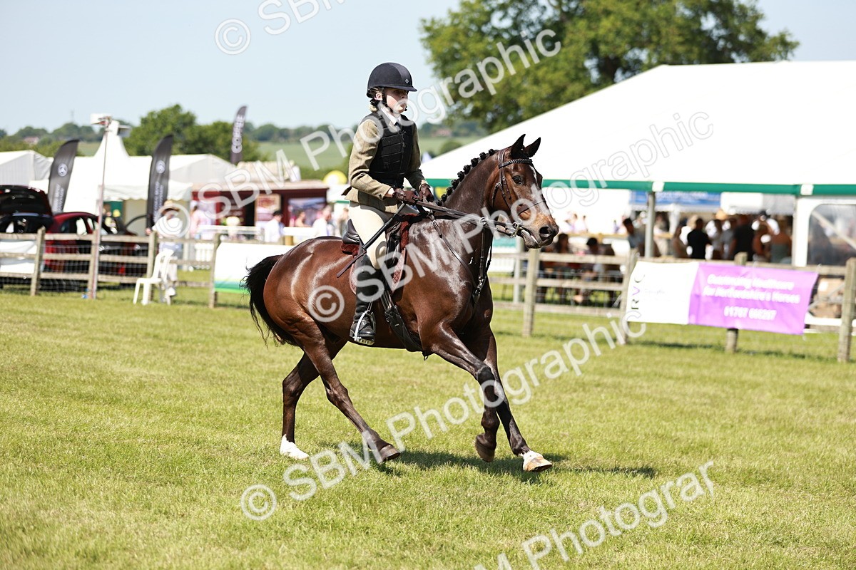 SBM_17576 - Class 112-113 - BSPS LIHS Working Sports Pony