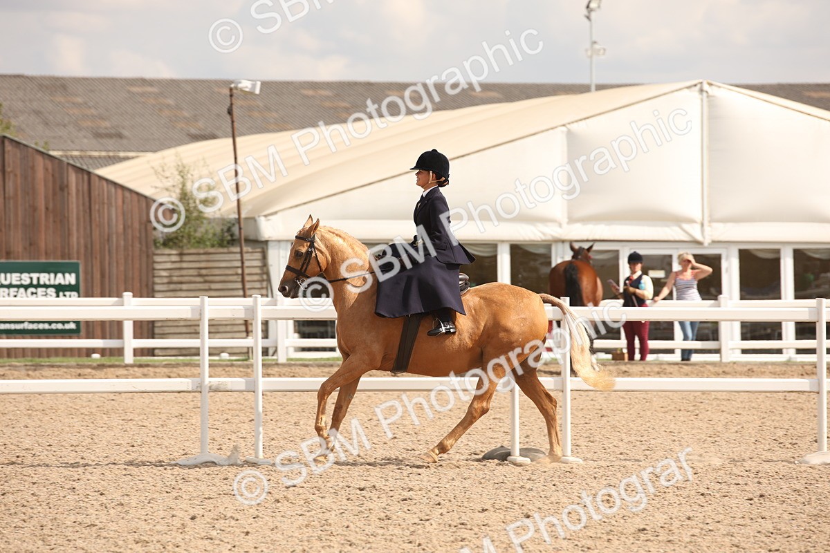 SBM_06729 - Class 24 Concours d'elegance