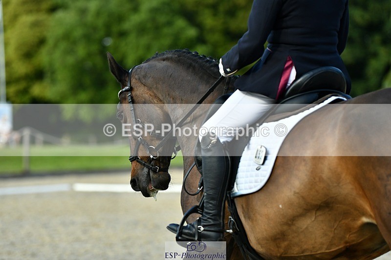 230623-175154-03120 - Cls 10 Advanced Medium 98Q