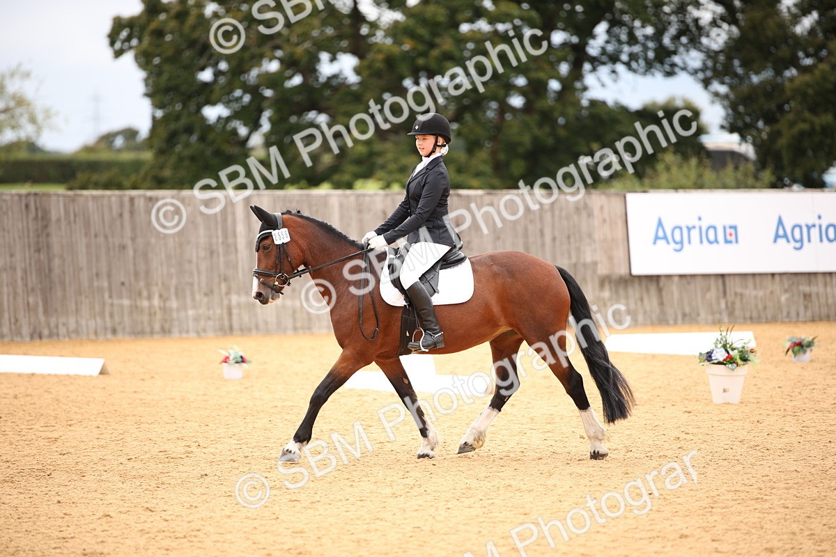 SBM_12233 - D3 Small  Tour Championship Intro A