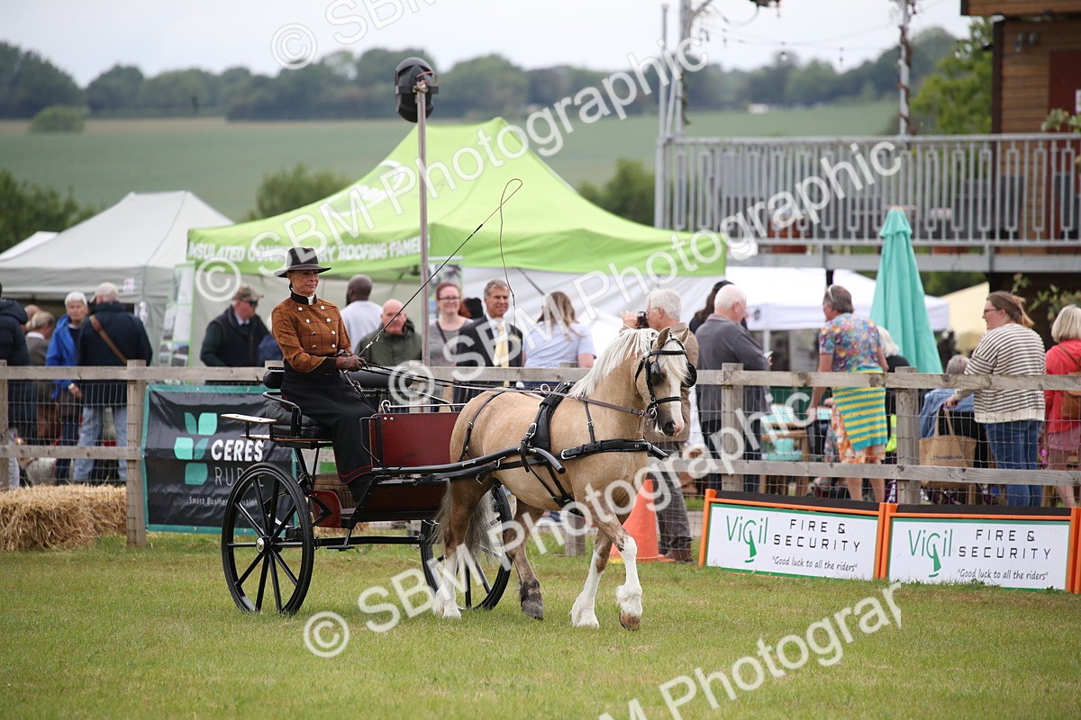 SBM_05609 - Class 12-15 - HOYS Private Driving