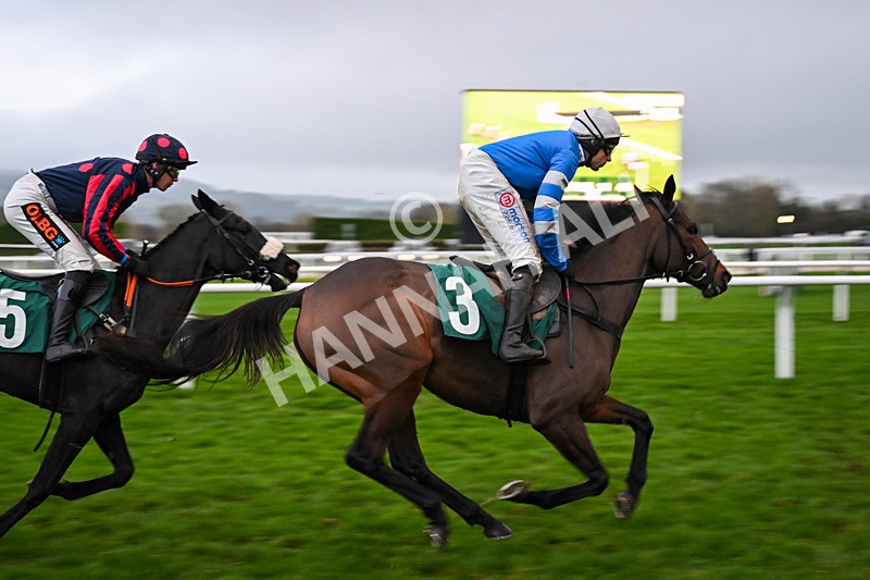 151125-Race 7-Divine Diva-4723 - Race 7