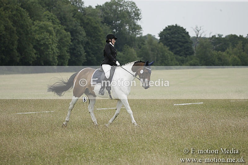 B230619-0639 - Bourne Valley Riding Club Summer Show 23/06/19
