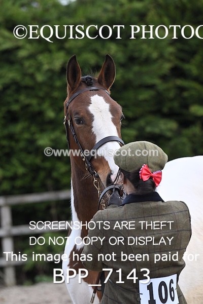 BPP_7143 - RING 1  (RIDDEN HORSES / IN HAND / VETERAN ETC)
