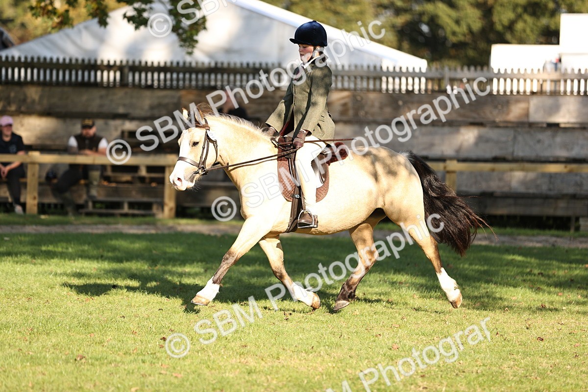 SBM_29403 - S7 - Novice & Newcomers Ridden Pony