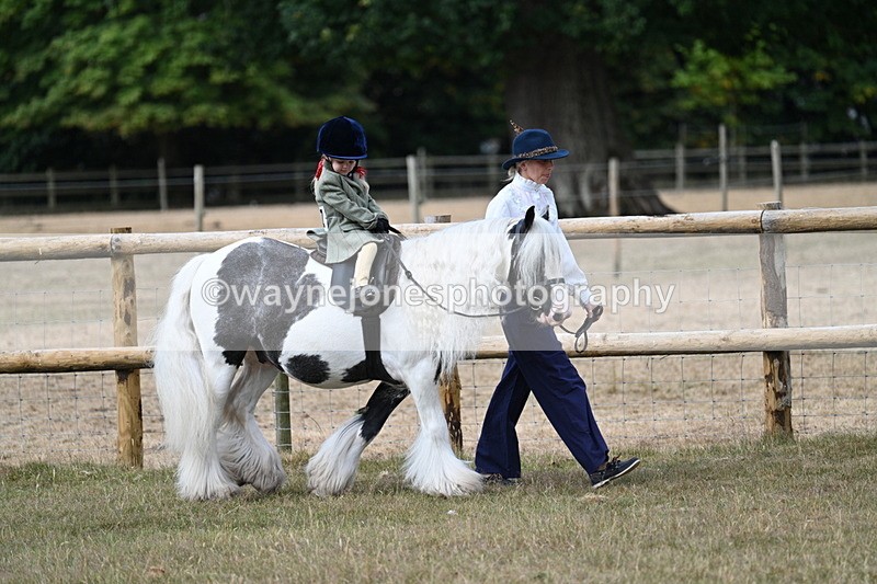 WJ7_6338 - Class 1 Lead Rein Pony