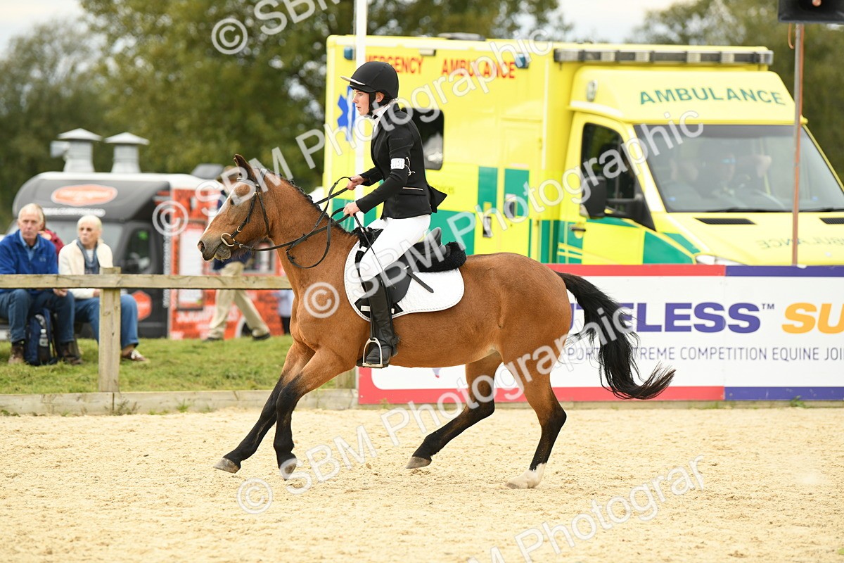 SBM_72952 - J16 - Junior Pony 75cm Championship