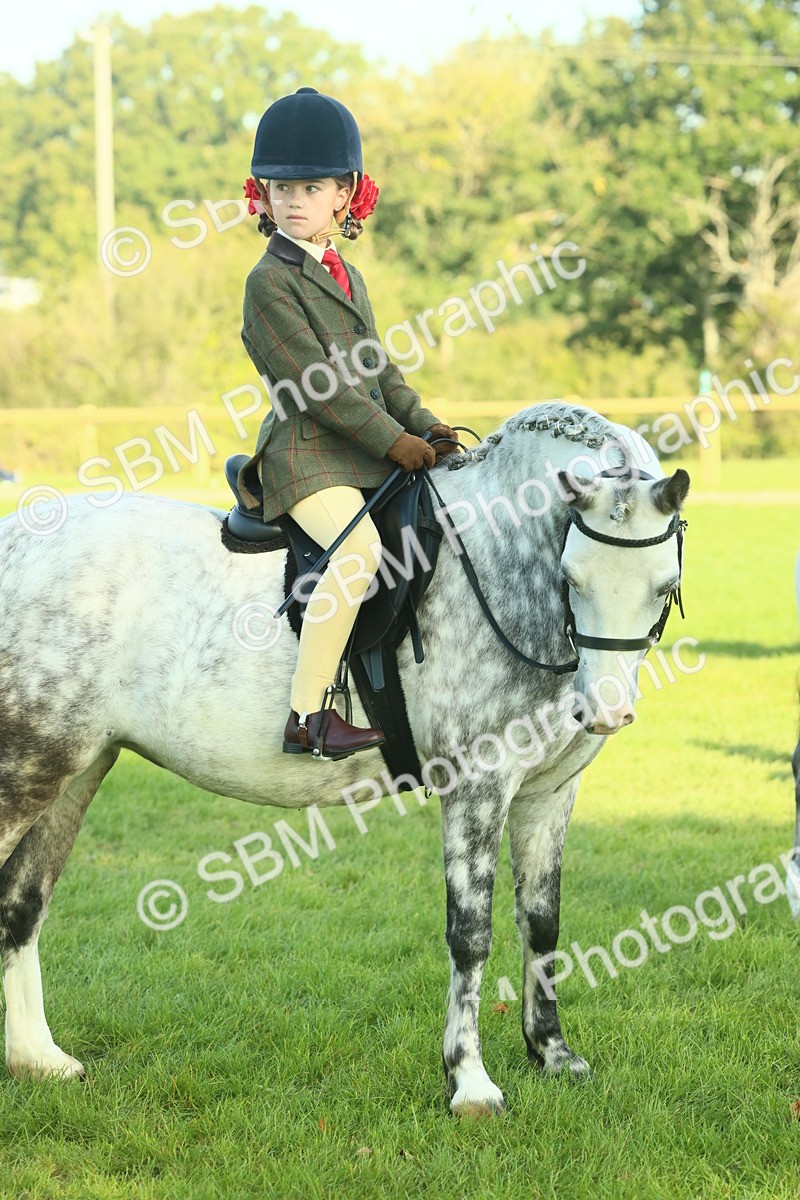 SBM_59155 - S38 - Starters Ridden Showing