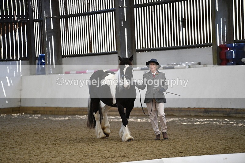 WJ5_5495 - Class 8 In hand cob