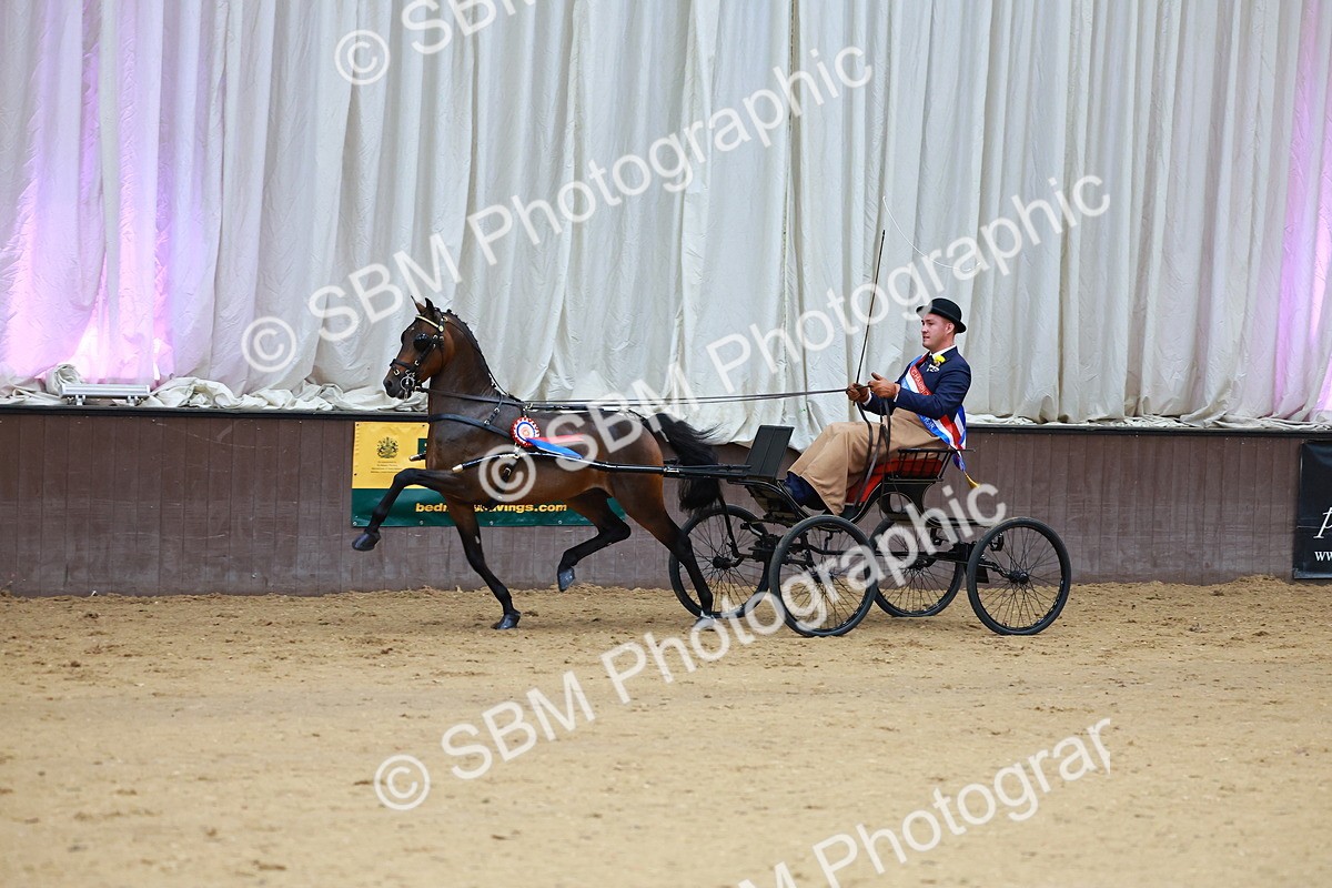 SBM_000674 - Class 9 - HHS Championship Intl Hackney Pony to a Showwagon