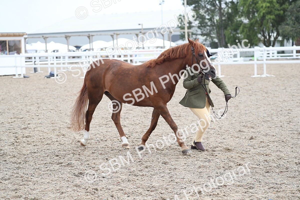 SBM_22546 - Class 604 - 2025 Area - IH Diamond