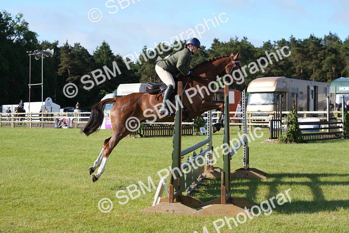 SBM_10513 - Class 97-98 - LIHS BSHA Rising Star Working Show Horse Hunter