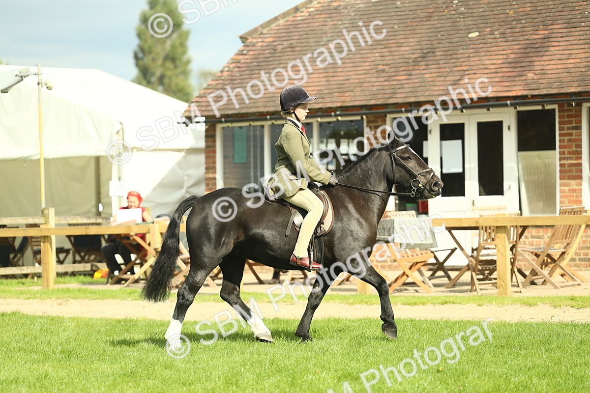 SBM_44903 - Working Hunter Pony Supreme Championship