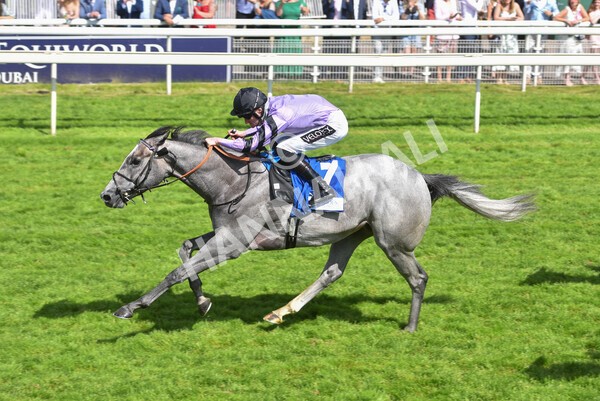 yr12062021r4-24 - Race 4 3.40pm The Pavers Foundation Catherine Memorial Sprint Stakes