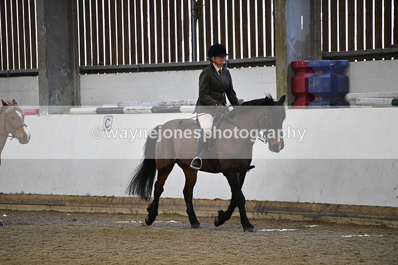 WJ5_5921 - Class 9 Ridden Veteran