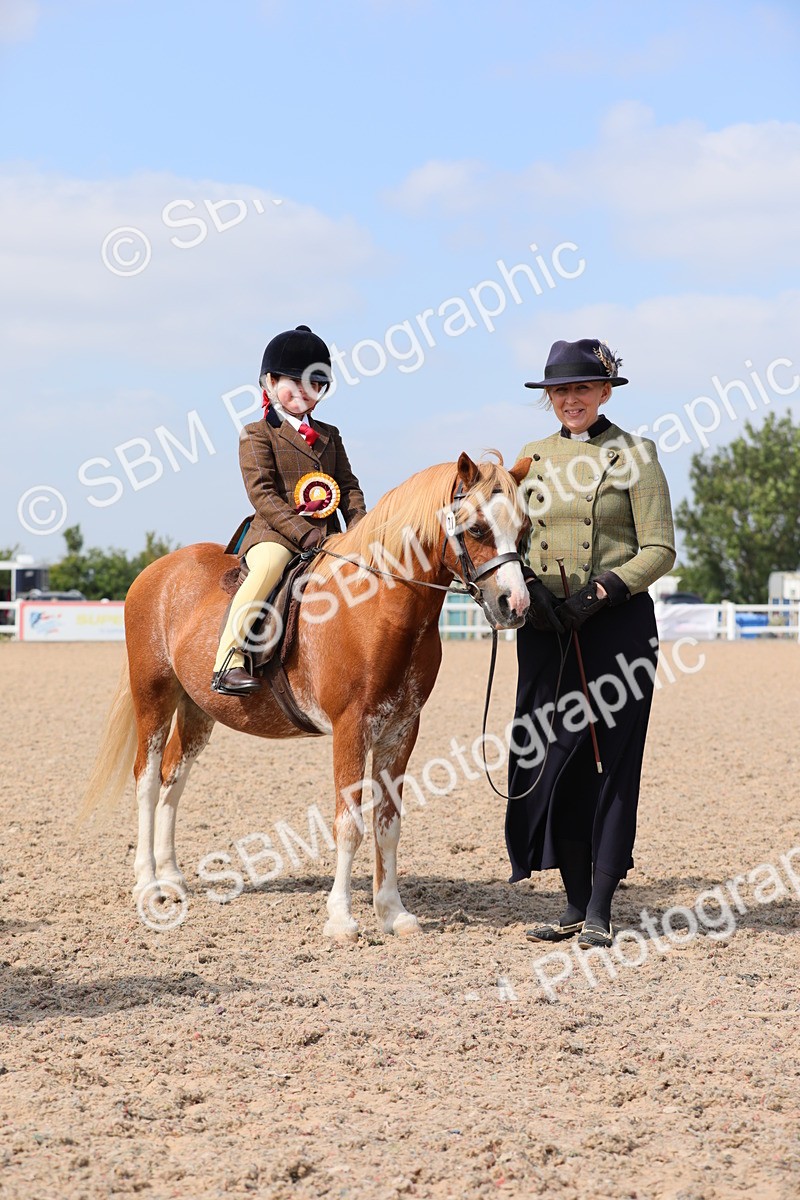 SBM_14109 - Class 309 Lead Rein Pony