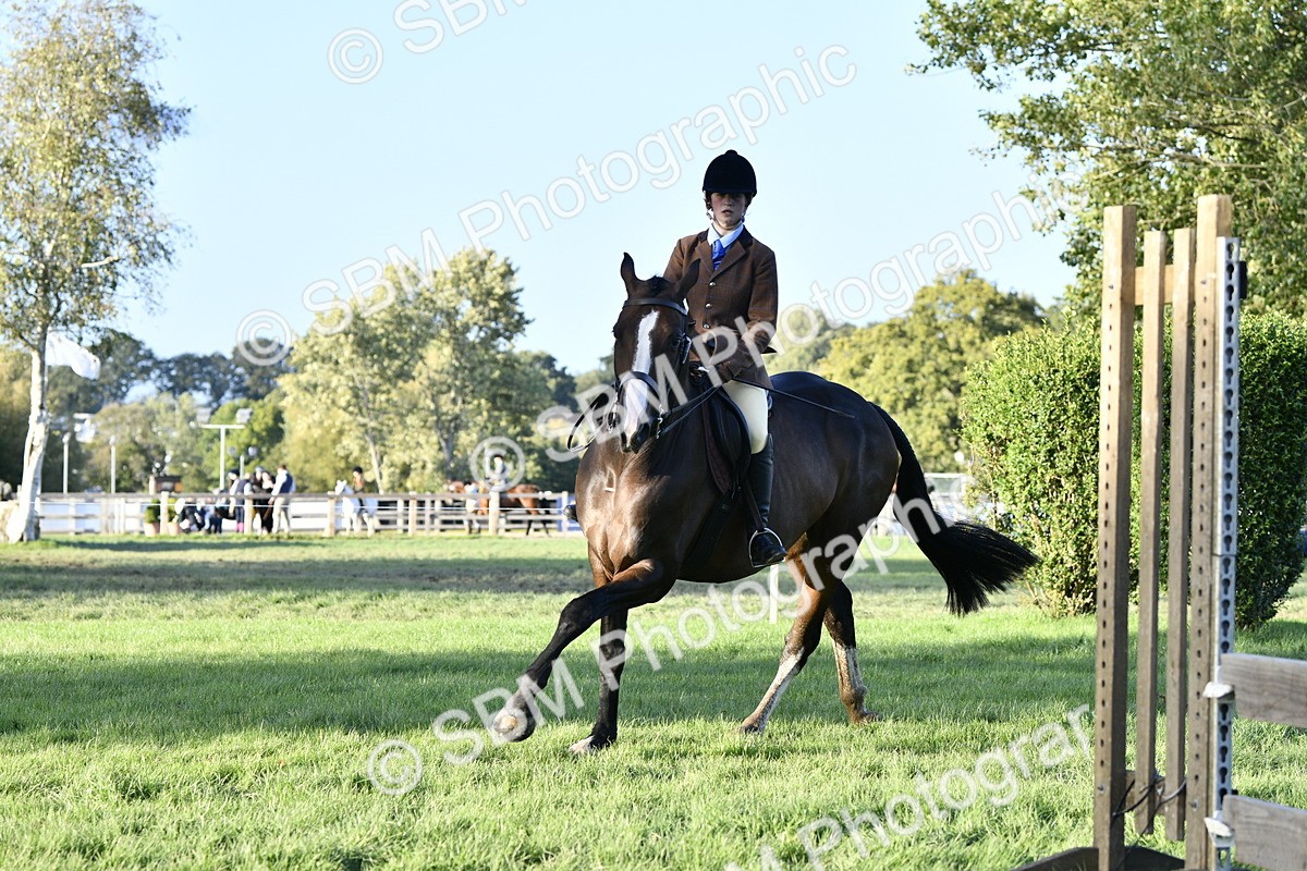 SBM_53564 - S14 - Riding Club Horse