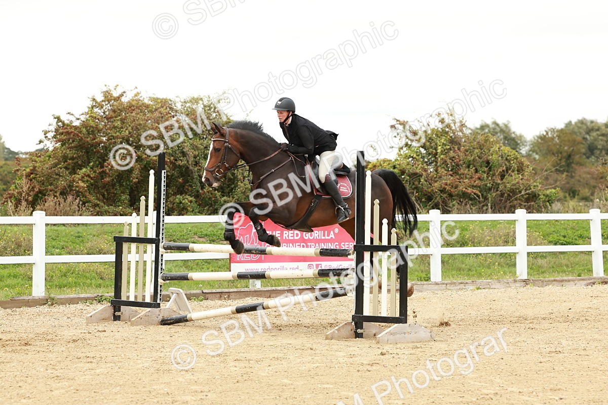 1I0A7046 - Class 2 - Senior British Novice