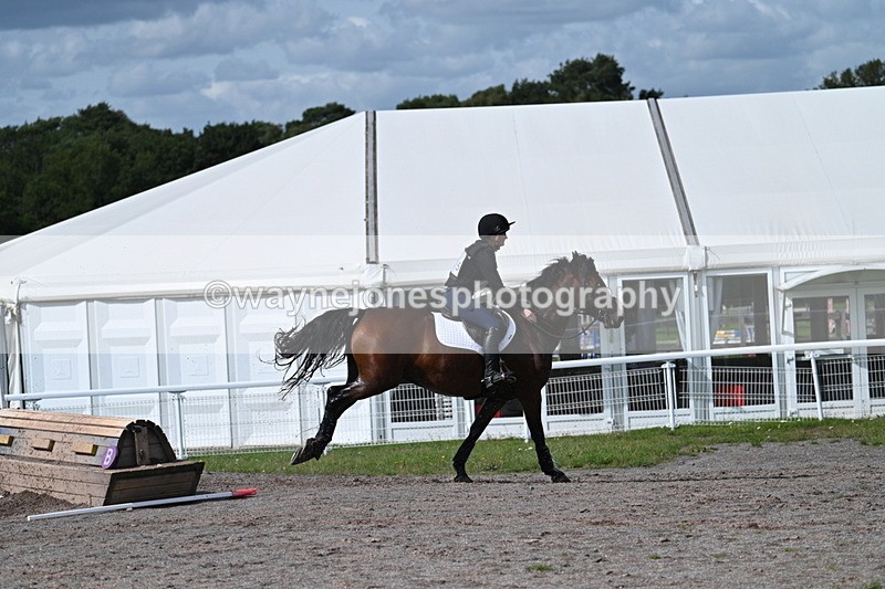 WJ7_1968 - Time 13:17 to 13:53