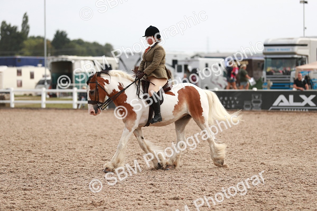 SBM_16803 - Class 214 Ridden Cob