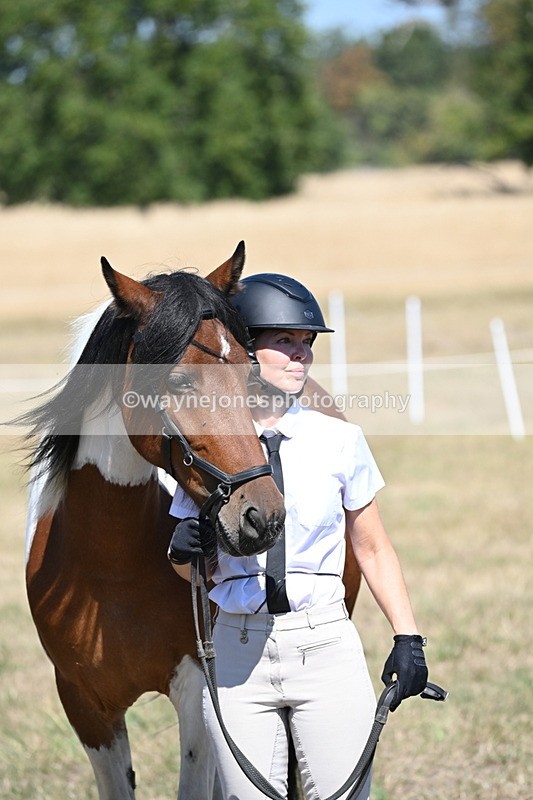 WJ6_8705 - Class 37b Best Loan Pony In-hand