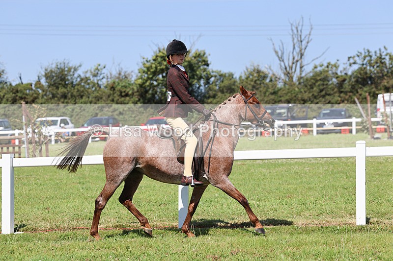 IMG_1993 - Class 34: Show Hunter Pony 153cm and under