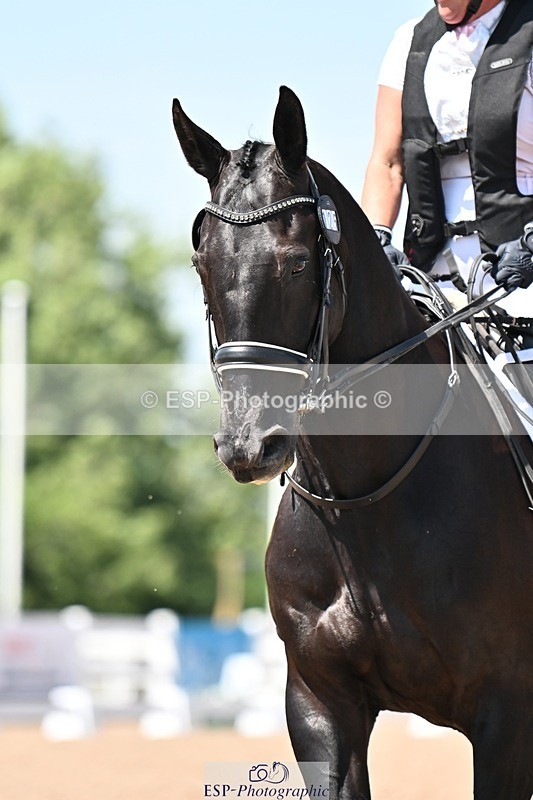 250620-144143-03776 - BD Cls 7 - Elementary 5, 14.40 to End