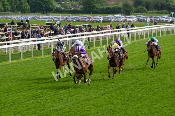 150524-Race 4-Secret Satire-4206 - Race 4 3.45pm Tattersalls Musidora Stakes