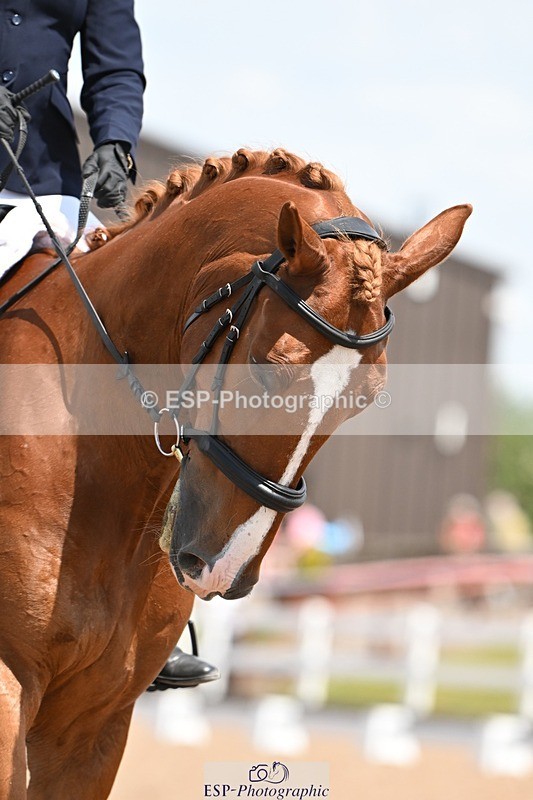 250620-125225-02983 - BD Cls 4 - Novice 5, 12.40am to End