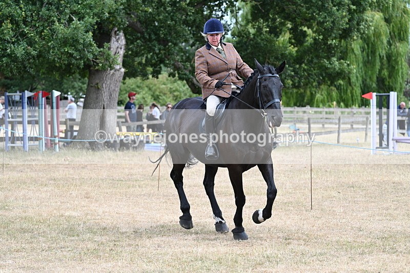 WJ7_1334 - Class 8 Ridden Veterans