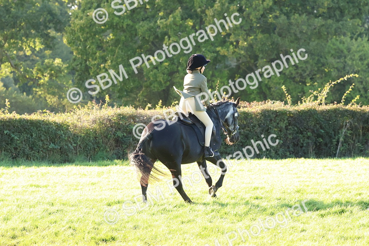 SBM_53009 - S29 - Mature Veteran Ridden