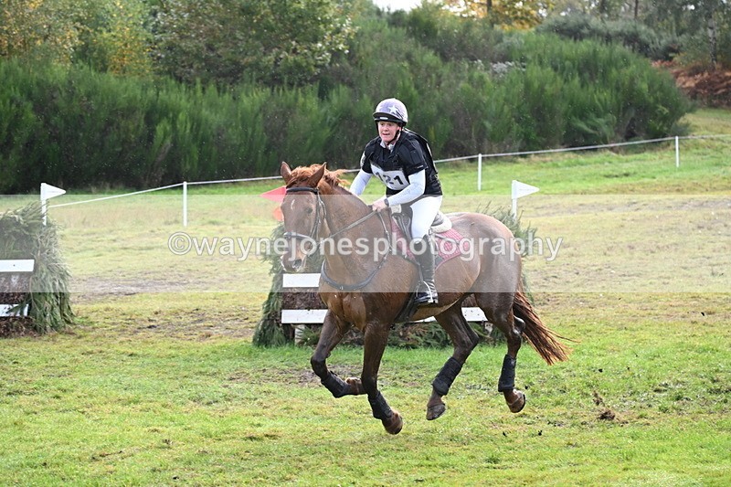 WJ6_2049 - 80cm Cam 1 Time 10:47 to 11:22