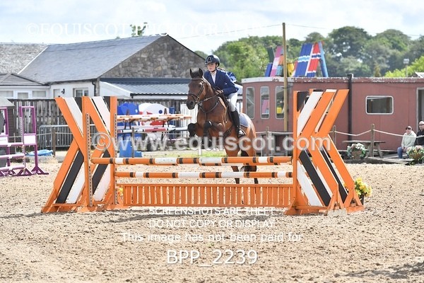 BPP_2239 - CLASS 3 SAT British Novice/ 90cm Open