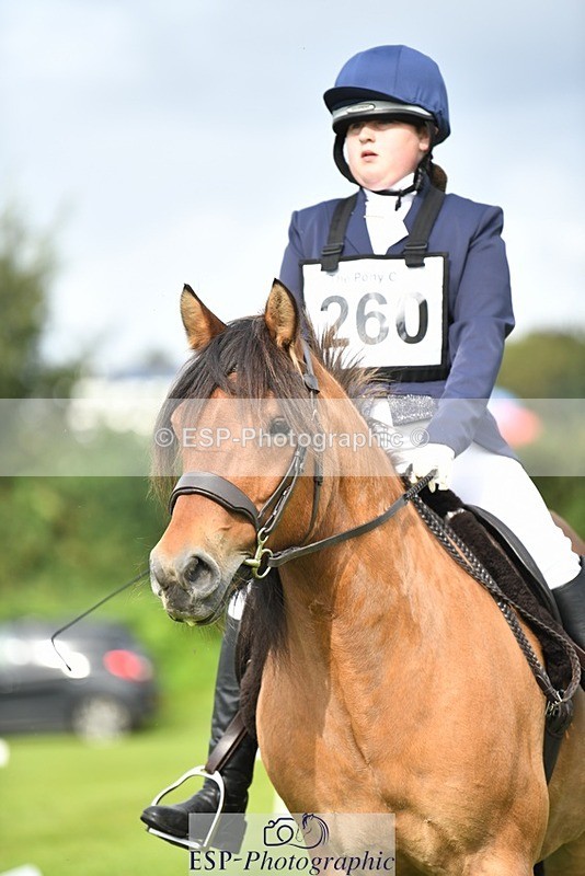 230826-100757-15367 - Sections C & D 10 to End