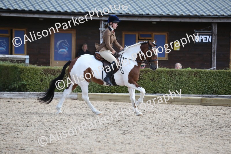 20260831-2791 - Class 16 and 17- Ridden Cob and Hunters