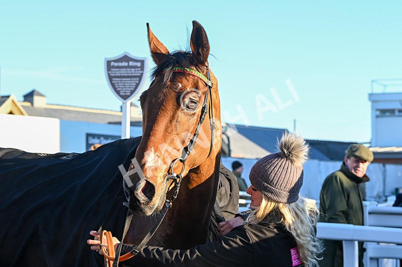 221124-Race 4-Duke Of Luckley-5254 - Race 4