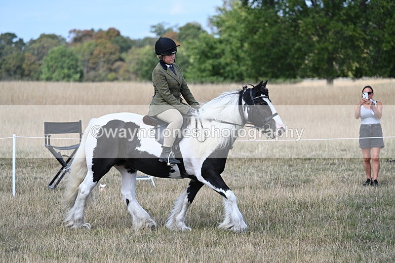 WJ7_6808 - Class 14 Ridden Coloured